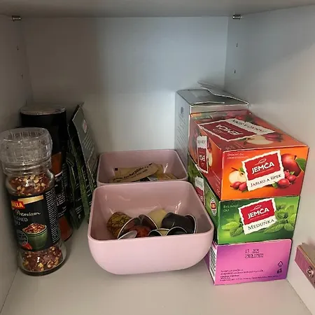 Plesivec U Sjezdovky Apartamento