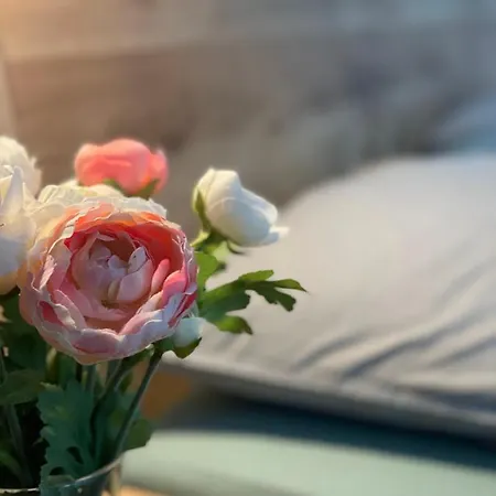 Plesivec U Sjezdovky Apartamento Abertamy